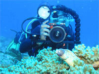 PADI Digital Underwater Photographer Course