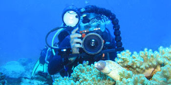 PADI Spezialkurs Digitale Unterwasser Photographie