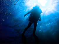 PADI Open Water Diver