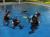 PADI Scuba Diver