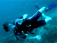 PADI Specialty Courses