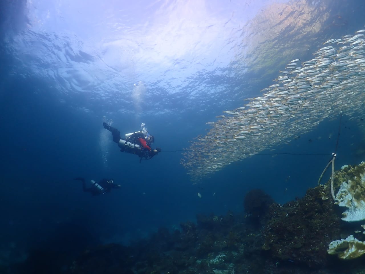 Public Safety Diving in Cambodia