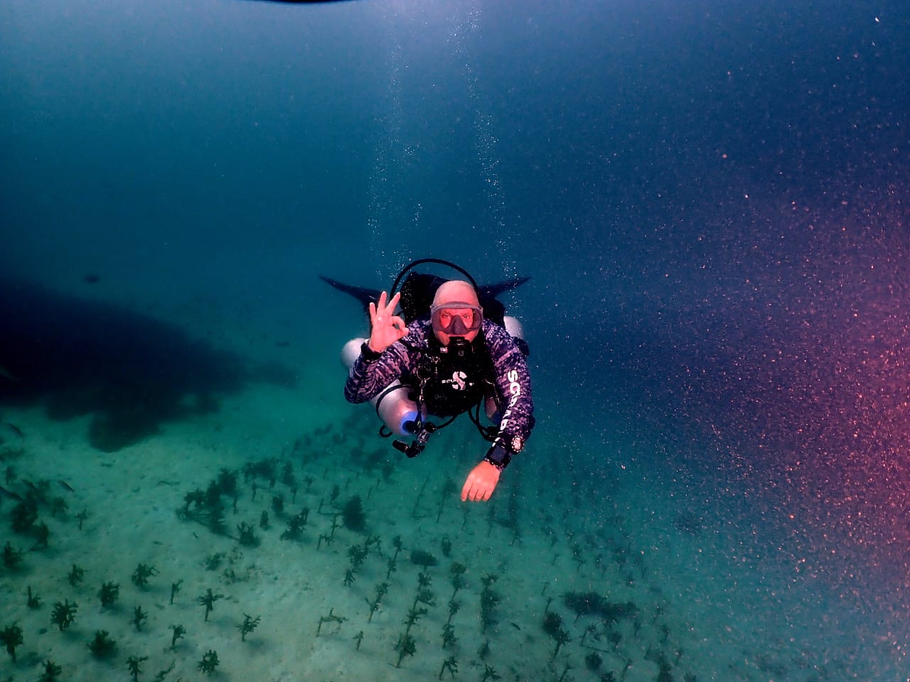 Public Safety Diving in Cambodia