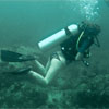 Diving is fun
