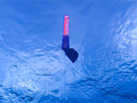 PADI Delayed Surface Marker Buoy