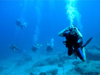 PADI Divemaster