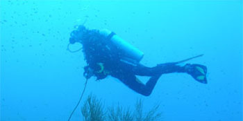 PADI Spezialkurs Stroemungstauchen