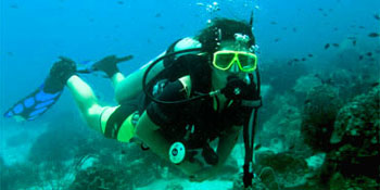 Take the PADI Open Water Diver Course