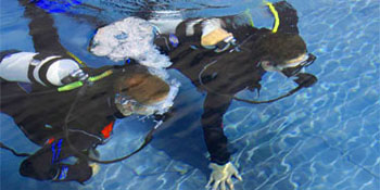 Werde PADI Scuba Diver